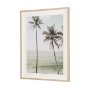 16260 - Oceanside Palms by Shot By Clint Framed Photo Print Matted under Glass