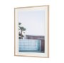 16263 - Modern Oasis View by Shot By Clint Framed Photo Print Matted under Glass