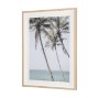 16261 - Ocean Breeze Palms by Shot By Clint Framed Photo Print Matted under Glass