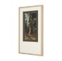 16243 - Heart of the Forest IV by Mercana Studio Textured Framed Artwork Matted under Glass