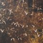 16190 - Gilded Flight by Chad Mackay Textured Framed Photo Print Matted under Glass (Set of 2)