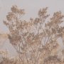 16206 - Big Bend National Park by Nathan Larson FramedPhoto Print Matted under Glass