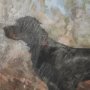 16223 - The Loyal Tracker II by Mercana Studio Textured Framed Artwork Matted under Glass