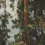 16240 - Heart of the Forest I by Mercana Studio Textured Framed Artwork Matted under Glass