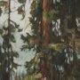 16243 - Heart of the Forest IV by Mercana Studio Textured Framed Artwork Matted under Glass