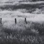 16249 - Fence Line Flight I by R. Christopher Vest Textured FramedPhoto Print Matted under Glass