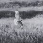 16249 - Fence Line Flight I by R. Christopher Vest Textured FramedPhoto Print Matted under Glass