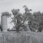 16250 - Farm Serenity I by Leda Robertson Textured FramedPhoto Print Matted under Glass