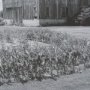 16251 - Farm Serenity II by Leda Robertson Textured FramedPhoto Print Matted under Glass