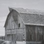 16251 - Farm Serenity II by Leda Robertson Textured FramedPhoto Print Matted under Glass