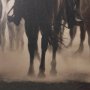 16252 - Western Horse Drive by Andreas Magnusson Textured FramedPhoto Print Matted under Glass