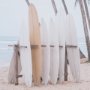16264 - Tropical Surfboards On Beach by Andreas Magnusso Framed Photo Print Matted under Glass