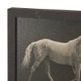102796-FL - Walking Tall by Eadweard Muybridge Textured Framed CanvasPhoto Print