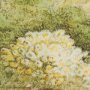 102809-FL - Cactus Country I by Mercana Studio Hand-Embellished Textured Framed Canvas Artwork