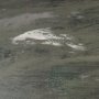 102818-FL - Vastness II by Mercana Studio Hand-Embellished Textured Framed Canvas Artwork