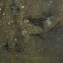 102822-L - Subtle Stirring by Mercana Studio Hand-Embellished Textured Canvas 
