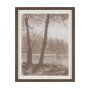 16290 - Timber Light I by Mercana Studio Framed Artwork Matted under Glass
