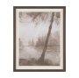16291 - Timber Light II by Mercana Studio Framed Artwork Matted under Glass