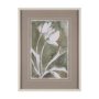 16279 - Tulip Bloom III by Mercana Studio Hand-Embellished Framed Artwork Matted under Glass