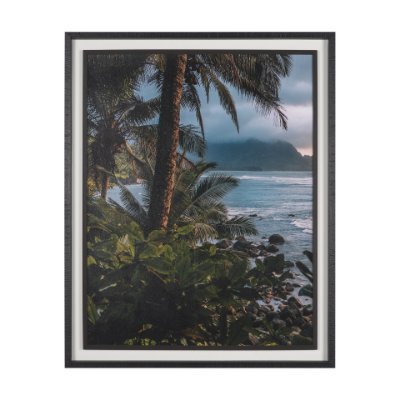 16288 - Kauai Jungle Dream by Stefan and Audrey Textured Framed Photo Print Matted under Glass
