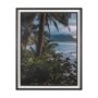 16288 - Kauai Jungle Dream by Stefan and Audrey Textured Framed Photo Print Matted under Glass
