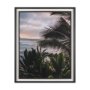 16289 - Kauai Jungle Dream by Stefan and Audrey Textured Framed Photo Print Matted under Glass