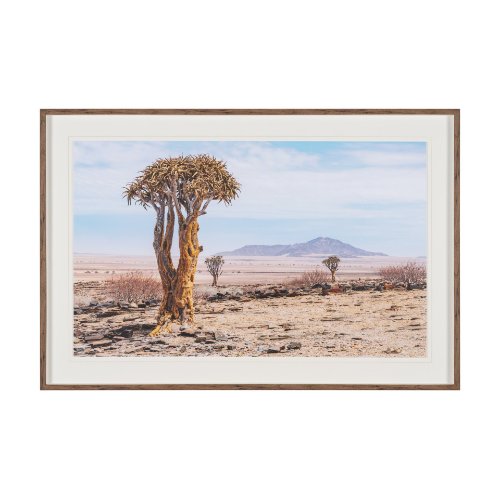 16293 - Namibia Tree in Desert by Richard Silver Textured Framed Photo Print Matted under Glass