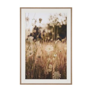 Wild Carrot Flowers by Zaira Zarotti Textured Framed Photo Print Matted under Glass