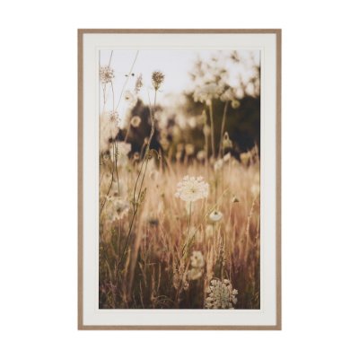 16315 - Wild Carrot Flowers by Zaira Zarotti Textured Framed Photo Print Matted under Glass