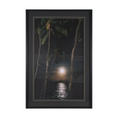 16317 - Maui Moonlight by Stefan and Audrey Hand-Embellished Textured Framed Photo Print Matted under Glass