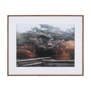 Tree of Life by Stefan and Audrey Textured Framed Photo Print Matted under Glass