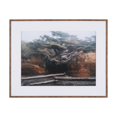16321 - Tree of Life by Stefan and Audrey Textured Framed Photo Print Matted under Glass