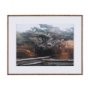16321 - Tree of Life by Stefan and Audrey Textured Framed Photo Print Matted under Glass