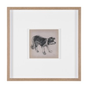 Border Collie by Mercana Studio Hand-Embellished Framed Artwork Matted under Glass