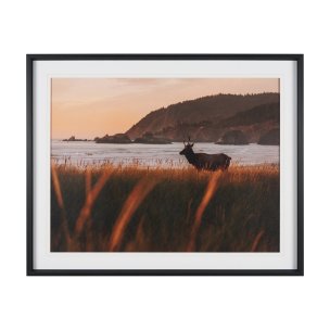 Cannon Beach Elk by Stefan and Audrey Textured Framed Photo Print Matted under Glass