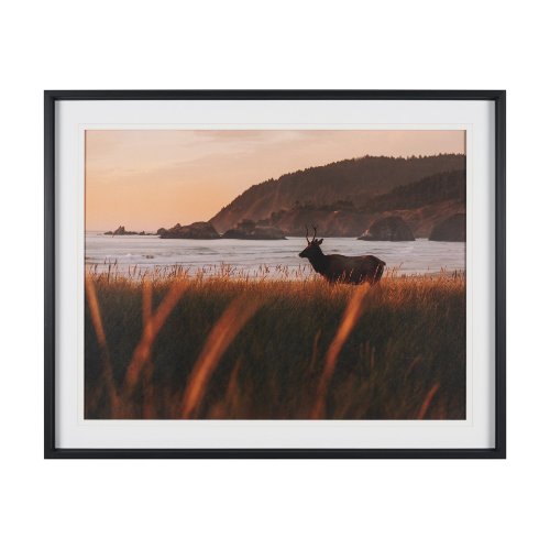 16337 - Cannon Beach Elk by Stefan and Audrey Textured Framed Photo Print Matted under Glass