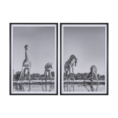 16349 - Thirsty Savanna Giraffes(Set of 2) by Jun Zuo Hand-Embellished Framed Photo Print Matted under Glass