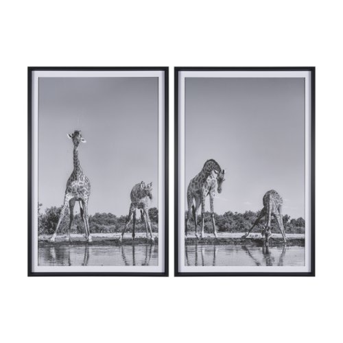 16349 - Thirsty Savanna Giraffes(Set of 2) by Jun Zuo Hand-Embellished Framed Photo Print Matted under Glass
