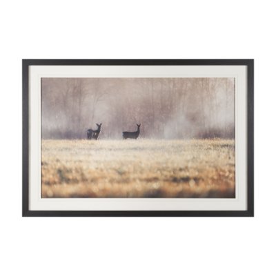 16354 - Distant Duo by Andreas Stridsberg Framed Photo Print Matted under Glass