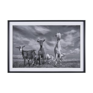 Curious Farm Goats by Novica Stankovic Hand-Embellished Textured Framed Artwork Matted under Glass