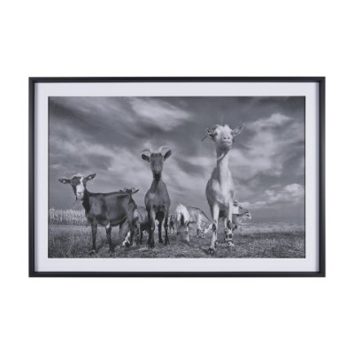 16360 - Curious Farm Goats by Novica Stankovic Hand-Embellished Textured Framed Artwork Matted under Glass