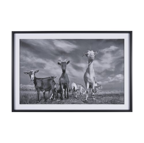 16360 - Curious Farm Goats by Novica Stankovic Hand-Embellished Textured Framed Artwork Matted under Glass