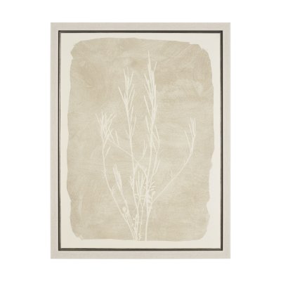 102853-FL - Field Study III: Remains by Mercana Studio Hand-Embellished Textured Framed Canvas Artwork
