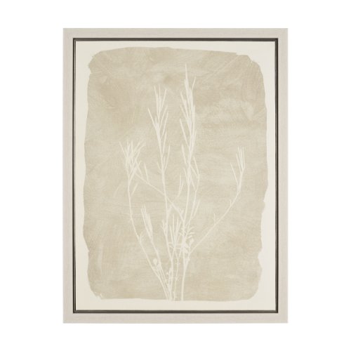 102853-FL - Field Study III: Remains by Mercana Studio Hand-Embellished Textured Framed Canvas Artwork