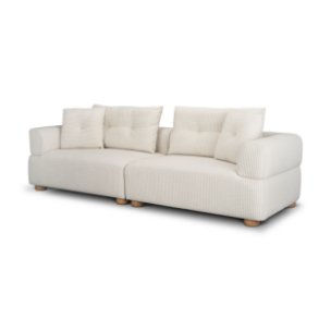 Warner Stripe 2 Piece Sofa Set w/Back Cushions