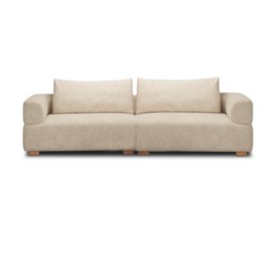 Warner Frame 2 Piece Sofa Set w/Back Cushions