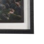 16288 - Kauai Jungle Dream by Stefan and Audrey Textured Framed Photo Print Matted under Glass