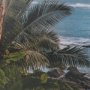 16288 - Kauai Jungle Dream by Stefan and Audrey Textured Framed Photo Print Matted under Glass