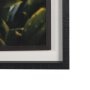 16289 - Kauai Jungle Dream by Stefan and Audrey Textured Framed Photo Print Matted under Glass