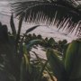 16289 - Kauai Jungle Dream by Stefan and Audrey Textured Framed Photo Print Matted under Glass